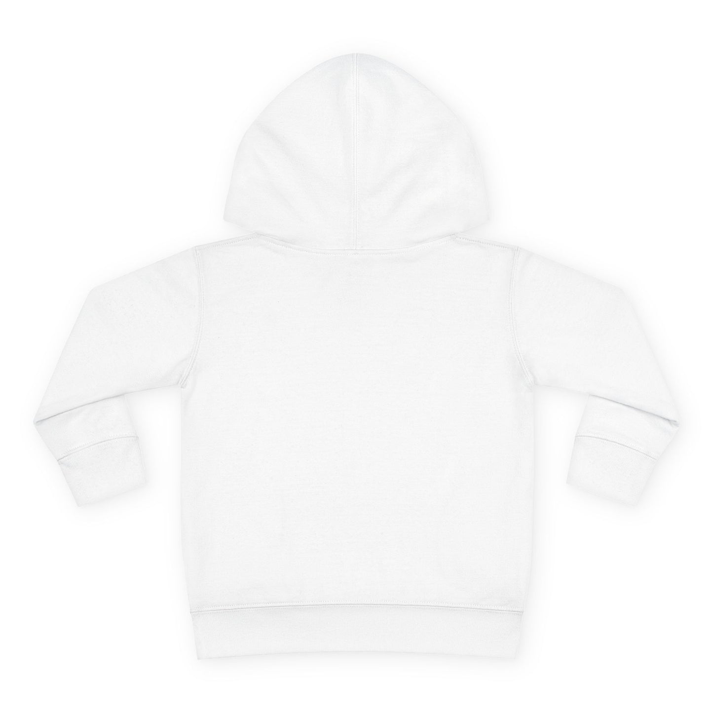 IB1 - Stellar Explorer Toddler Hoodie