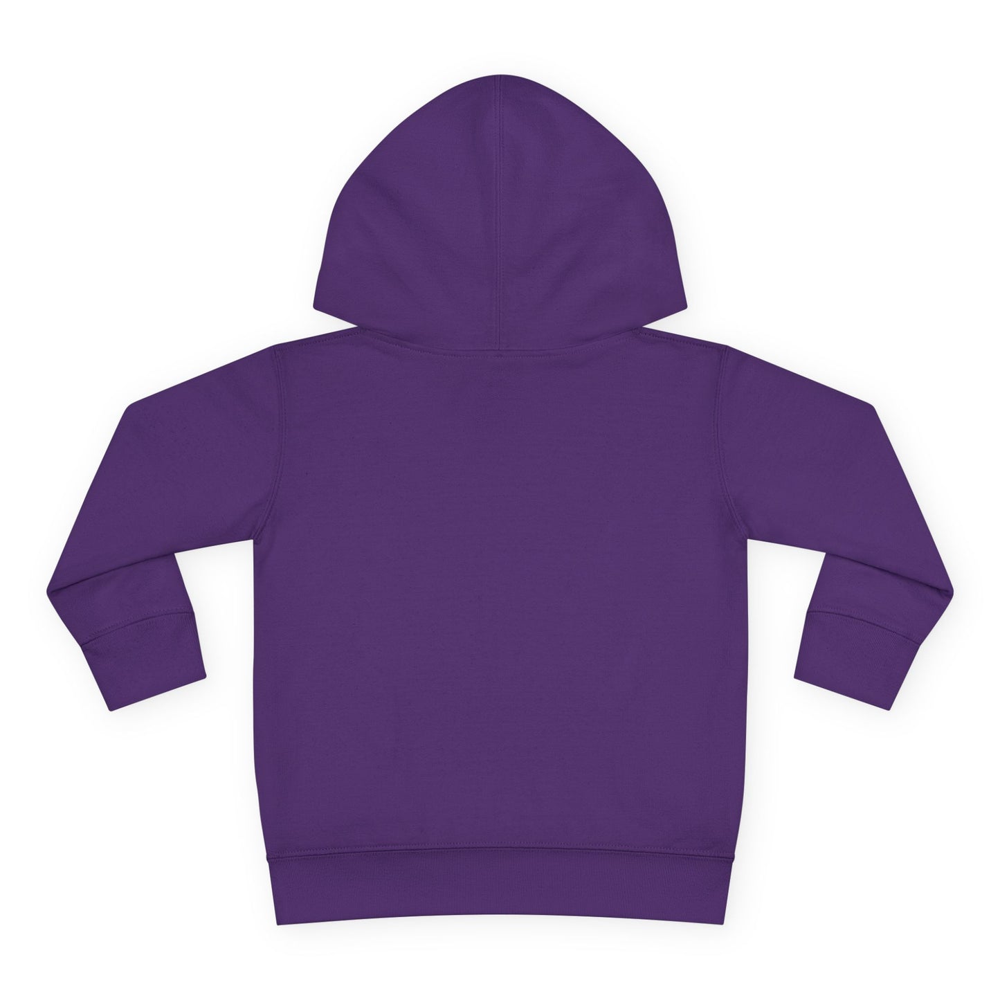 IB1 - Stellar Explorer Toddler Hoodie