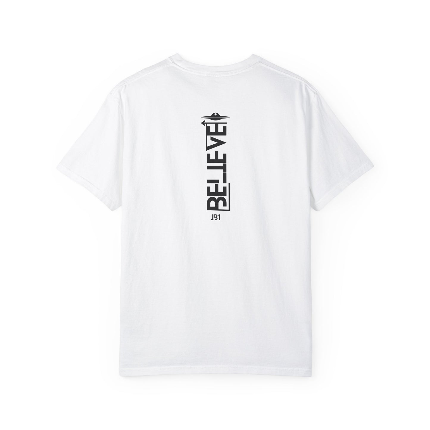 IB1 - Decoding Truth Tee