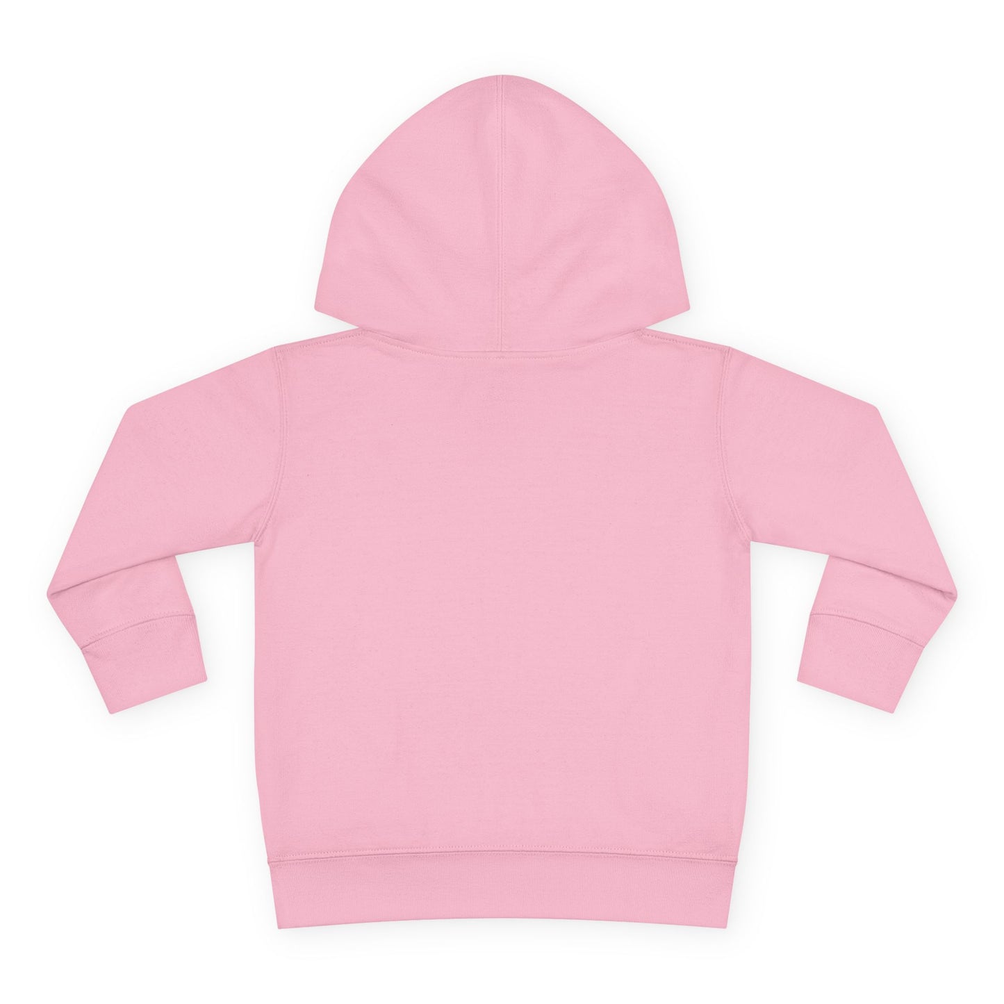 IB1 - Stellar Explorer Toddler Hoodie