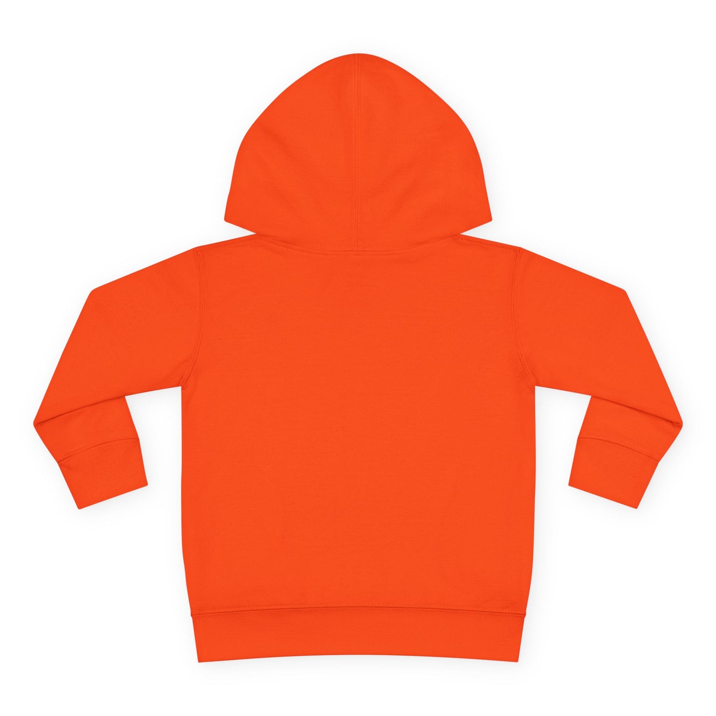 IB1 - Stellar Explorer Toddler Hoodie